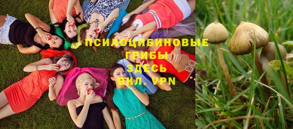 дурь Алексин