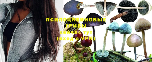 дурь Алексин