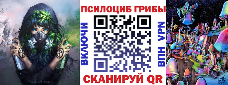 Псилоцибиновые грибы мицелий  Куртамыш 