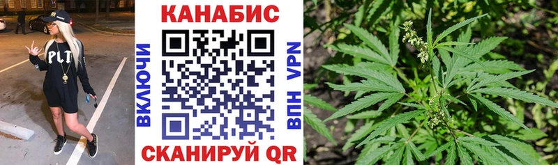 купить наркоту  Куртамыш  Каннабис Ganja 
